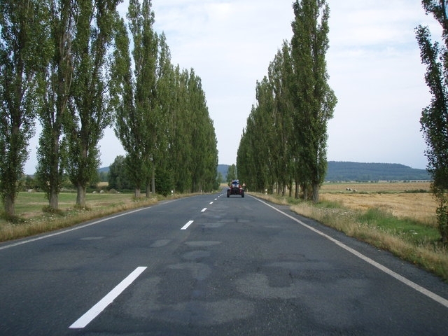 07