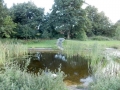 Wikingerburg in Trelleborg
