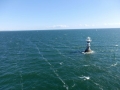 Blick von der Stena Line auf eine Tonne
