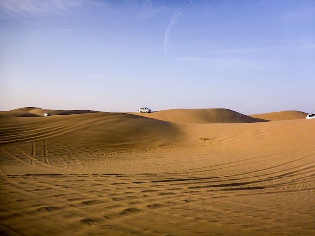 Abu-Dhabi-Half-Day-Safari-03