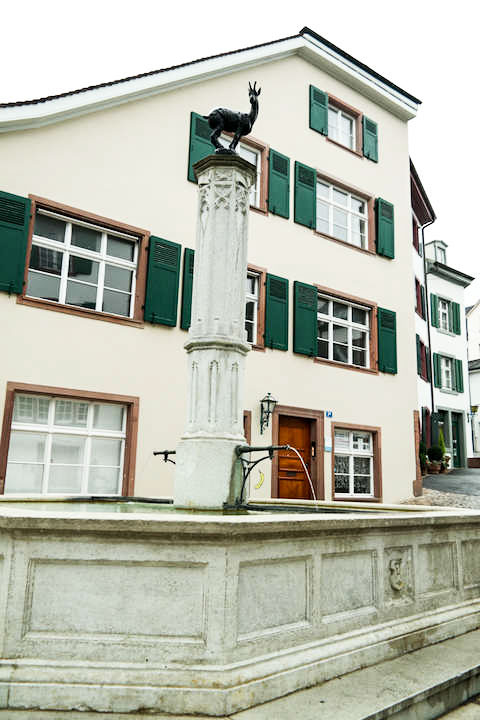 Basel-Brunnen-10