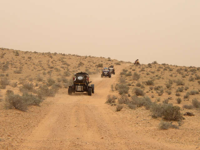 Sahara Buggy Tour 2008