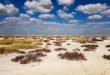 Etosha-01-Titelbild