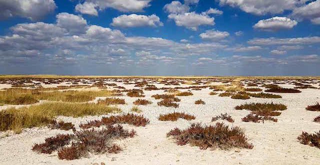 Etosha-01-Titelbild