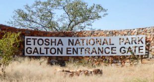 Etosha-Titelbild