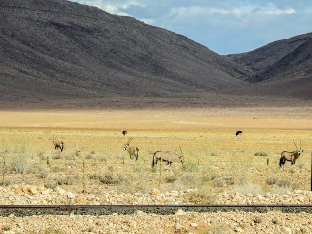 Fish-River-Canyon-Klein-Aust-Vista-02