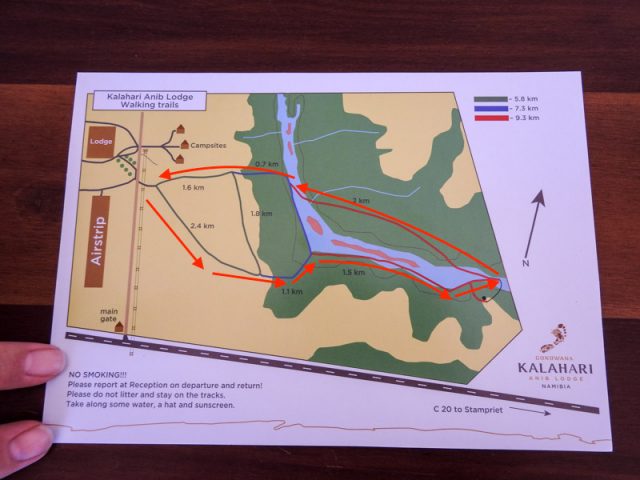 Kalahari-Waking-Trail-02