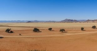 Namibia-Elim-Dune-03