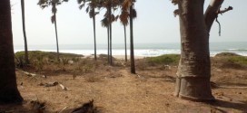 The Smiling Coast of Gambia - Unser Fazit 4