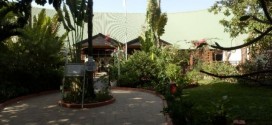 Unsere ersten Eindrücke vom Senegambia Beach Hotel 5