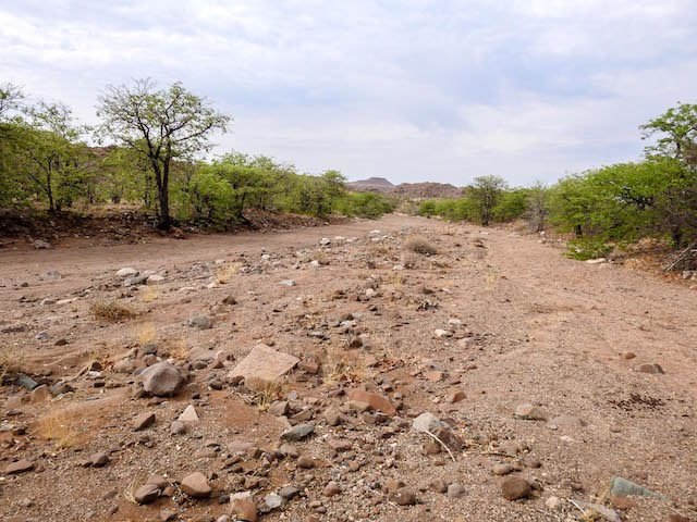 grootberg-lodge-elefant-trekking-07