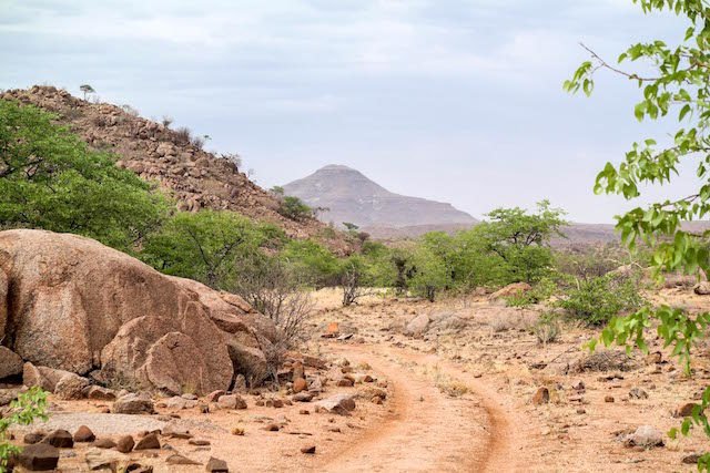 grootberg-lodge-elefant-trekking-07