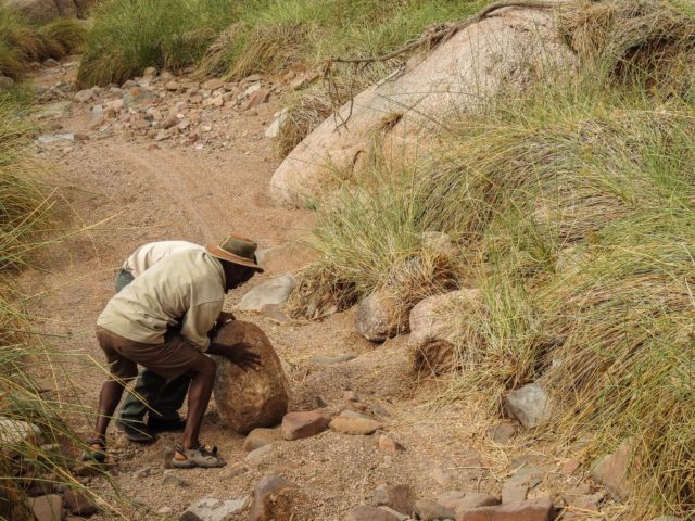 grootberg-lodge-elefant-trekking-09