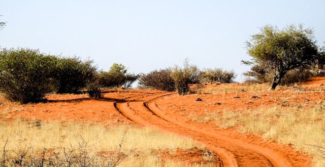 kalahari-wueste-namibia-01