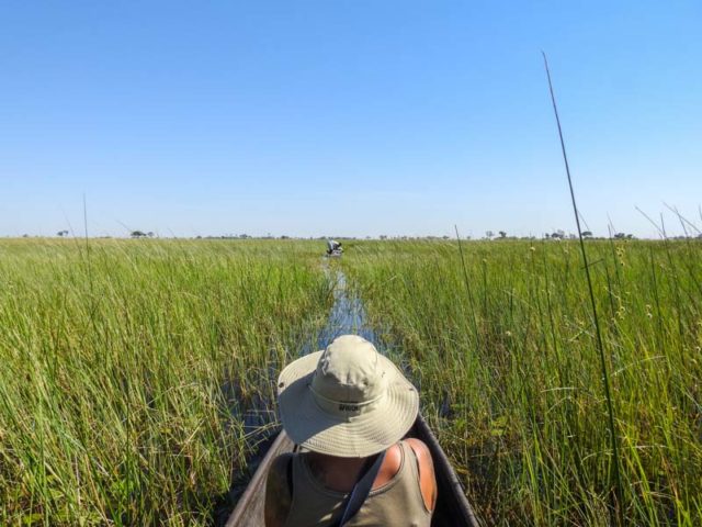 mokoro-okavango-delta-04