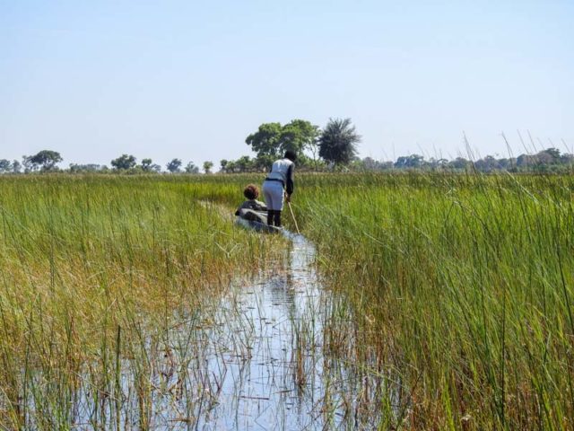 mokoro-okavango-delta-05