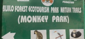 Bijilo Forest Park, Serekunda 133